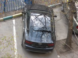 25 фотографий, которые точно оценят все любители Audi