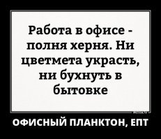 Офисные приколы, которые поймут только те, кто работает в пятидневку