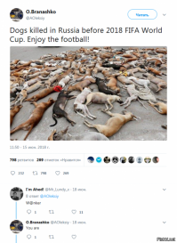 А это что такое? Неужели реакция в интернете на очень объективную статью?