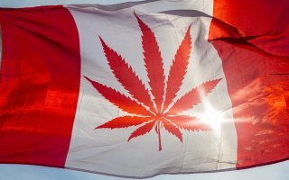 В Канаде легализовали употребление марихуаны