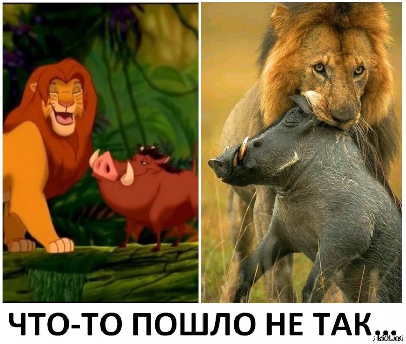 Без шансов, или жестокая сторона природы