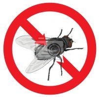 Просто на всех окнах и дверях наклеить