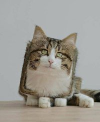 Про кубичность футбольных мячей доступным языком