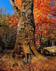 Larry Carlson
Давно залипаю в его задумки)