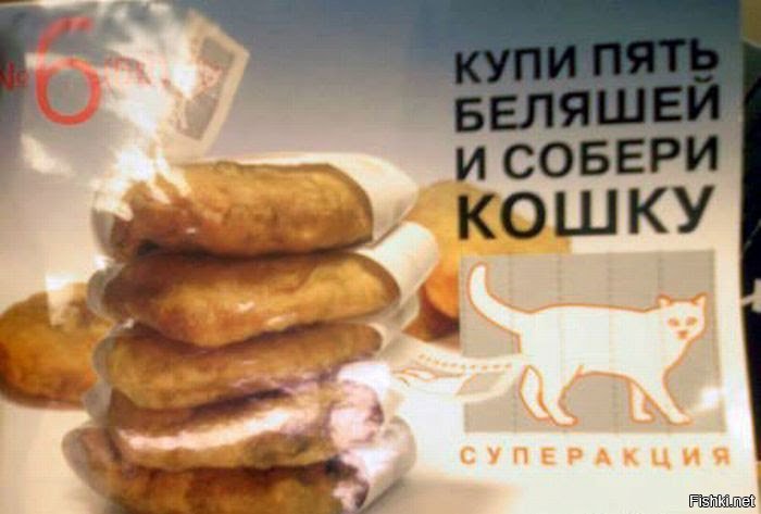 Котики и еда: идеальное сочетание от российской художницы