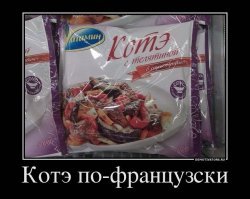 Котики и еда: идеальное сочетание от российской художницы