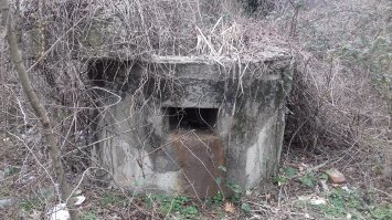 В Туапсе, на Кадоше на каждом шагу такие