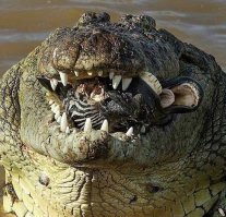 вот чужой