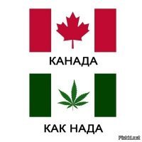 В Канаде легализовали употребление марихуаны