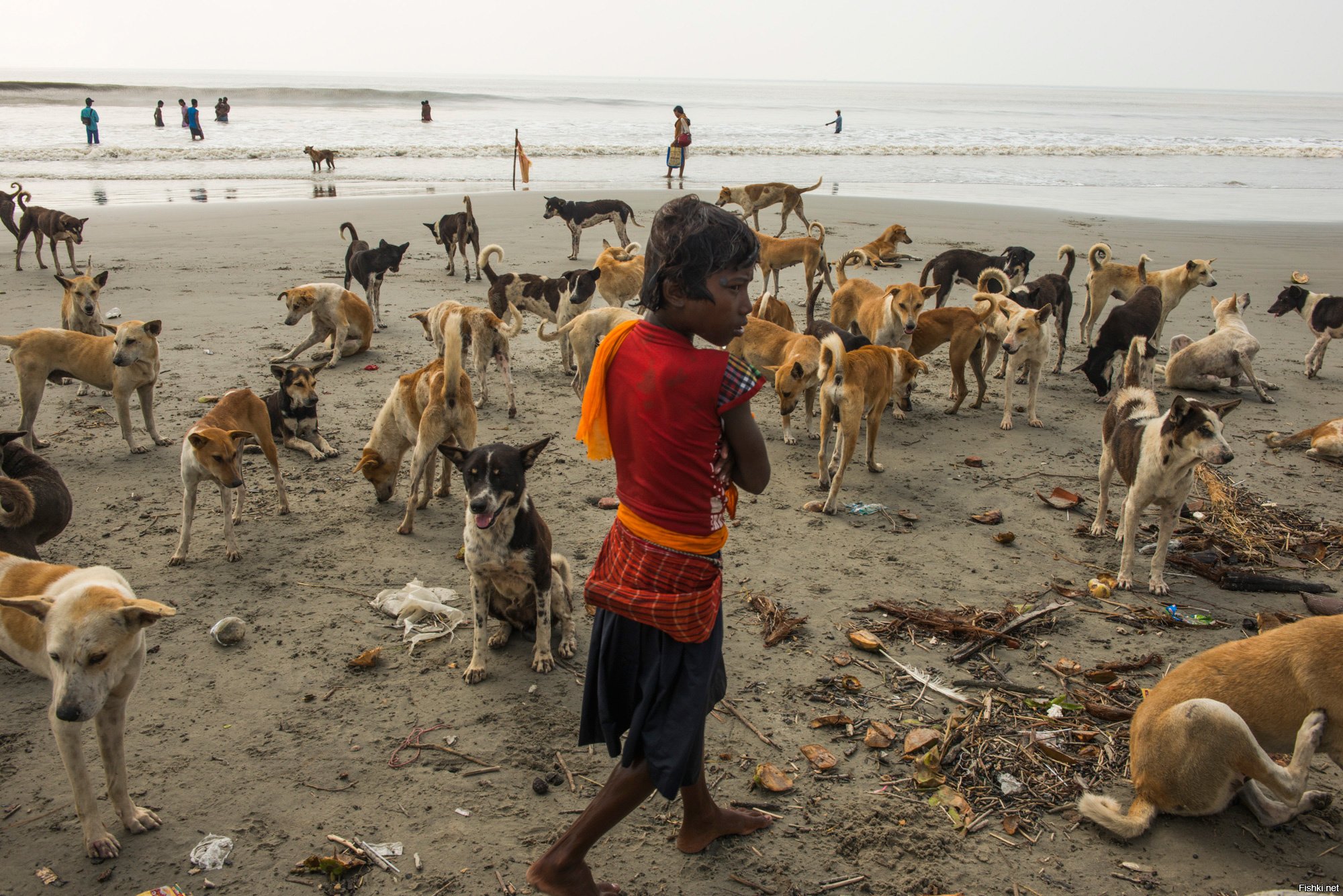 Dog Temple India