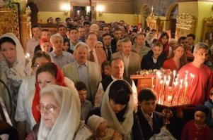 Новые подопечные зоопарка?