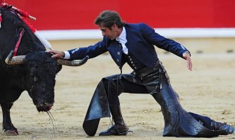 Гифки с быками