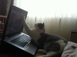 у меня кот проверяет грамматику , это тебе не world !!!!
его не подкупишь