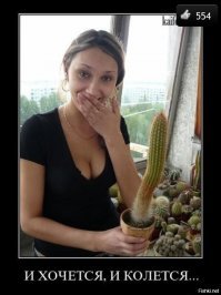 25 удачных фотографий, на которых задний план решает всё