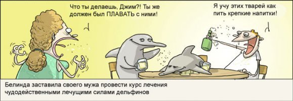 Интересные факты о дельфинах