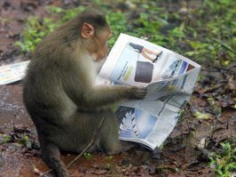 И в чём неэффективность?? Если с 2000-х годов количество рождающихся увеличивается , а смертность падает!

Власти АКТИВНО пускали нефтяные деньги на помощь роженицам (материнский капитал)!

Ты реально смотришь на информацию , а видишь фигу))

......."А почему и когда не рожали и так понятно. И почему сейчас рожать не будут - тоже. "....И почему же??))