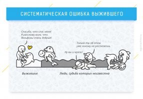 Интересные факты о дельфинах