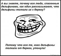 Интересные факты о дельфинах