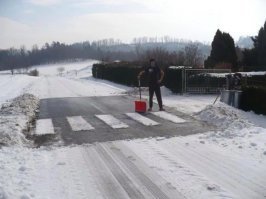 Что лучше: оригинальные стрит-арт зебры или нестареющая классика?