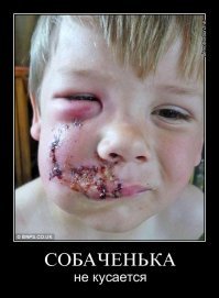 Социофобушек