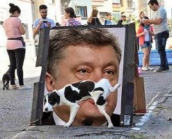 25 удачных фотографий, на которых задний план решает всё