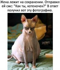Узнайте, что такое беременность на самом деле!