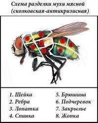 Не благодари