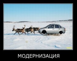 Жизнь с веселым  прицепом