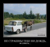 Жизнь с веселым  прицепом