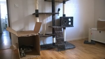 Простая и потрясающая история об обыкновенной человеческой доброте