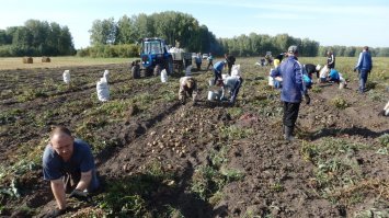 У нас соляра дорогая и на импортную технику санкции. Приходится быть ближе к земле.