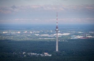 Высокая кухня по-эстонски