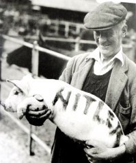 Свинью вообще-то капут ждёт. На вертеле...