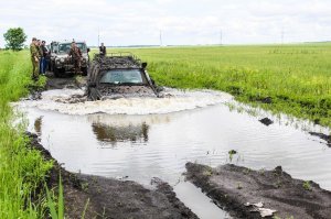 Фото мои и моих друзей