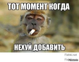 Из-за скандала с наркотиками в Ростове уволили целое отделение полиции