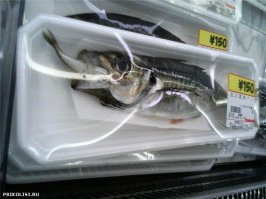 Свежая подборка демотиваторов, которые поднимут вам настроение