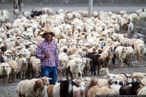 Диджей и толпа.