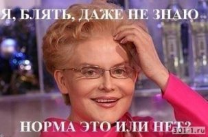 Хомячьи попы - новое милейшее средство для поднятия настроения