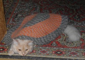 Мой прячется (по мере взросления всё хитрее и хитрее )))