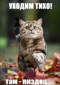 Очень странные коллажи, от которых немножко сносит крышу