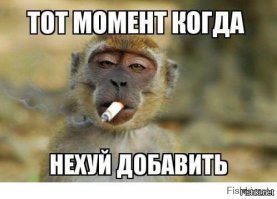 Очень странные коллажи, от которых немножко сносит крышу