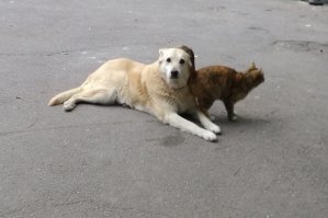 Санкт-Петербург