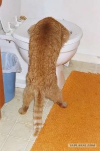 Очень странные коллажи, от которых немножко сносит крышу