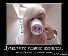 Какие бывают дуры