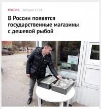 Сначала ужин из объедков, потом государственная дешёвая рыба. А помните мы ещё два года назад смеялись над украинцами, когда их на доллар в день жить учили?