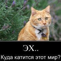 WHT ??!
И это рестовратор..
