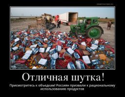 Присмотритесь к объедкам! Россиян призвали к рациональному использованию продуктов