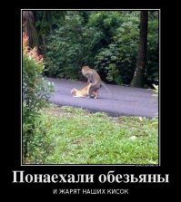 Обращение девушки к россиянкам, которые вешаются на иностранных болельщиков