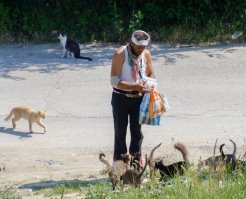 В Болгарии на СвСв.Константин и Елена живёт бомж Ваня, к которому за последние пару лет пришли, наверное, все коты этого курорта. Периодически поголовье сокращается (к сезону зверушек травят), но неизменные 10-15 хвостов рядом с ним всегда. Зимой они все вместе спят - коты греют его, а Ваня их за это кормит. Когда появляются котята, он им всем даёт имена и ухаживает за ними. Частенько можно видеть картину, когда Ваня отправляется "на работу" (перебирает мусорники, сортирует и сдаёт пластик) и за ним следом идёт вереница кошек. Так мы его и назвали - Повелитель кошек Ваня :)