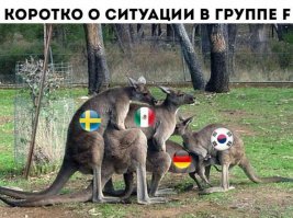 Японские болельщики изменили культуру футбольного мира